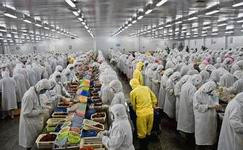 上海電商冷庫建造、運營