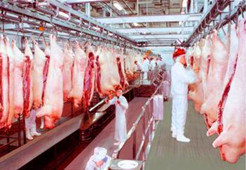 天貓超市電商冷庫建造、運營