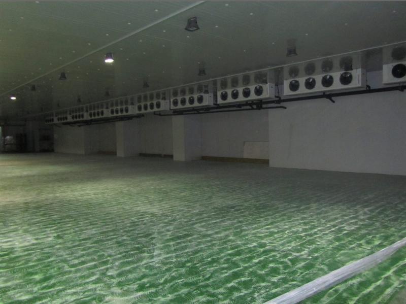 食品速凍冷庫安裝設計，速凍冷庫工作原理