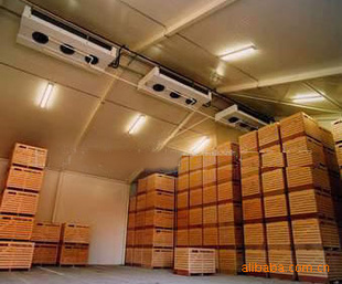 果蔬冷庫香蕉保鮮冷庫工程建造、香蕉保鮮技術