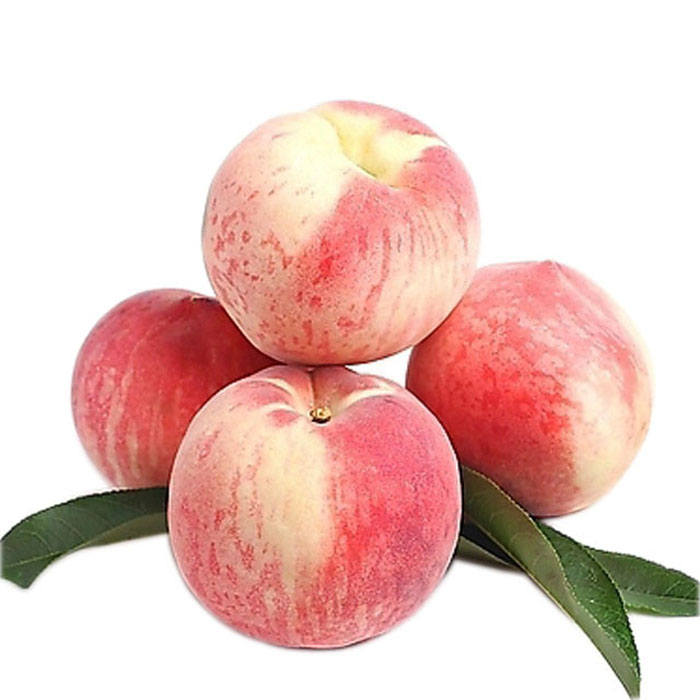 桃子冷庫保鮮方法，水果氣調庫安裝設計