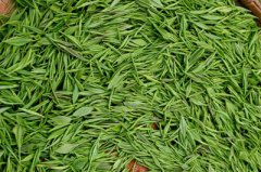 建一個低溫茶葉冷庫，冷凍庫耗電量及冷庫價格多少錢