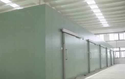 設(shè)計(jì)建造一套300平方米冷藏冷凍組合冷庫造價