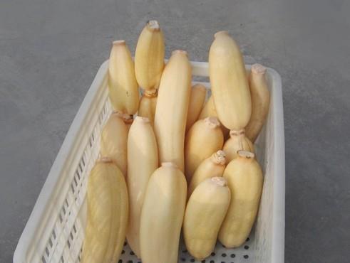 建造蓮藕冷藏庫多少錢一平，100噸的蓮藕要多大庫