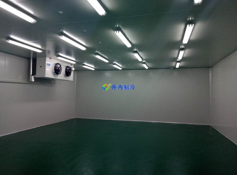 藥品冷凍庫建設(shè)標準規(guī)范及建造預(yù)算包含哪些